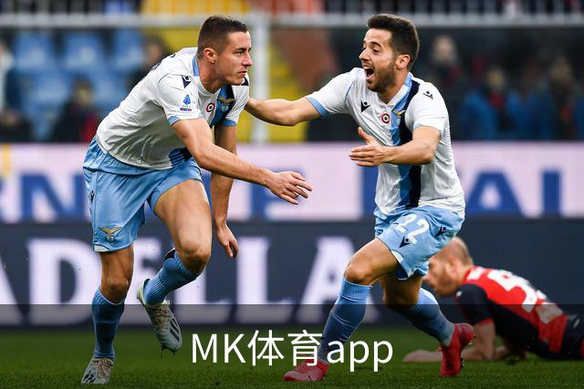关于MK体育app